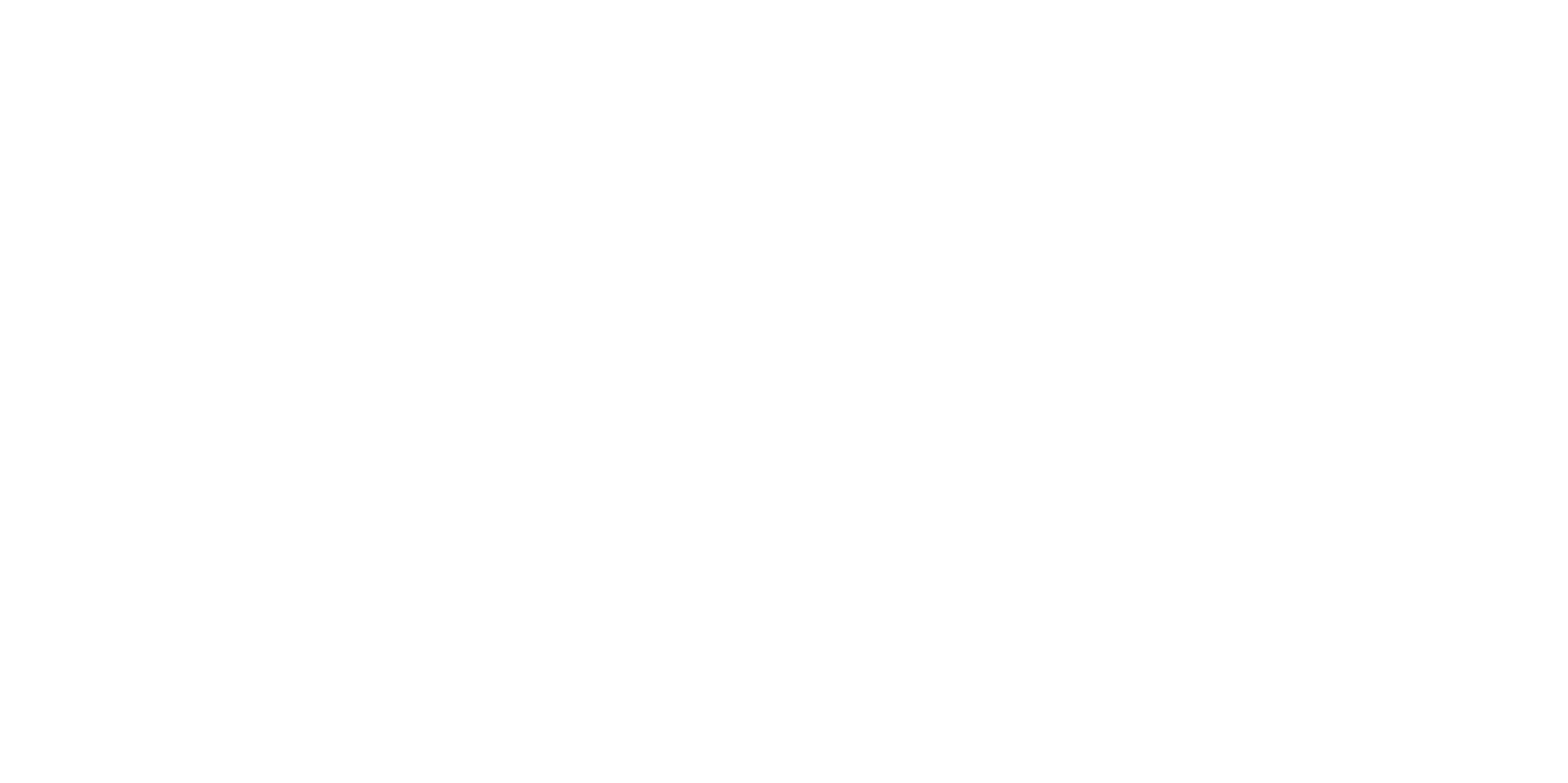 Sonoran Epilepsy White Logo