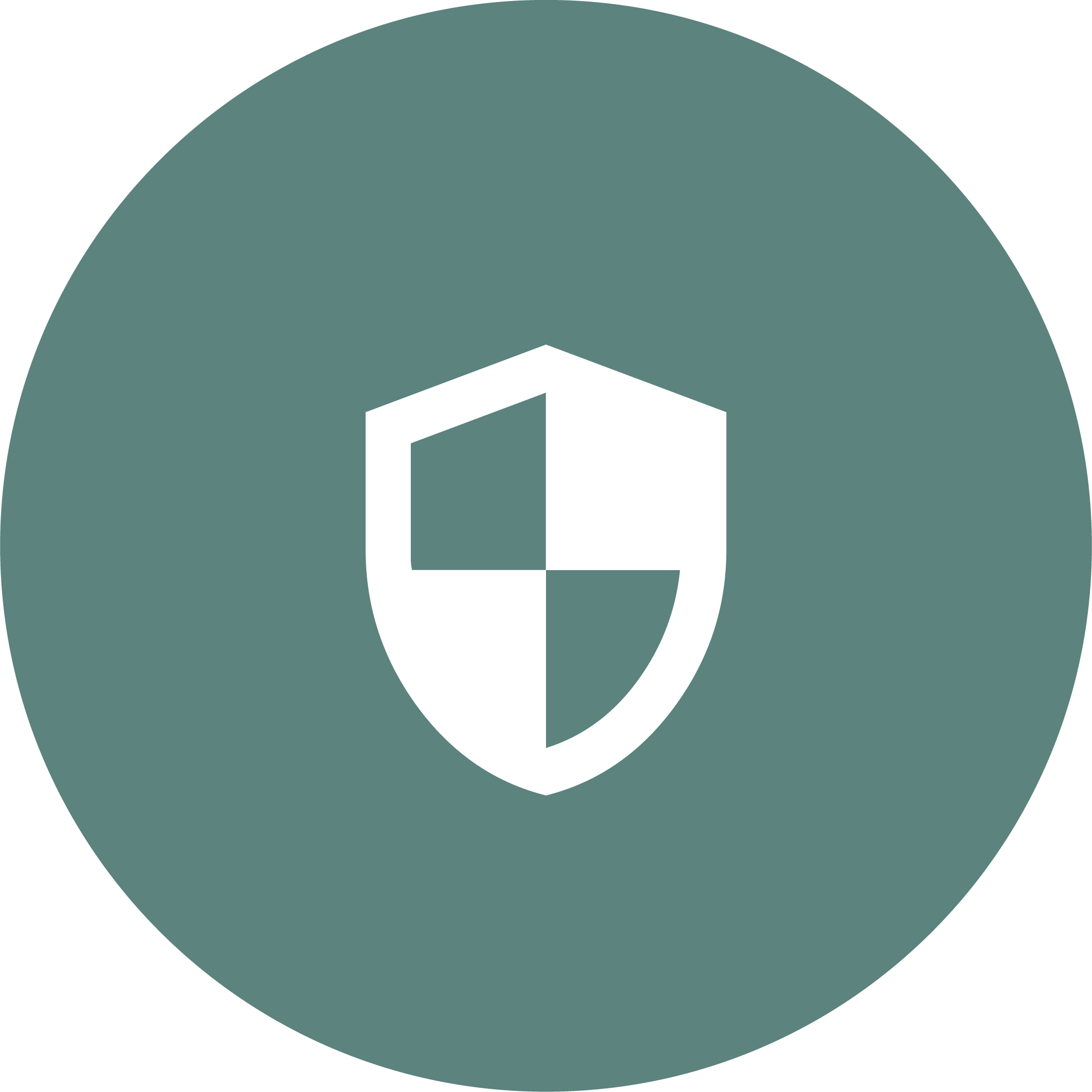 safety icon